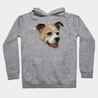 Jack Russell Terrier Mix - White Background Hoodie